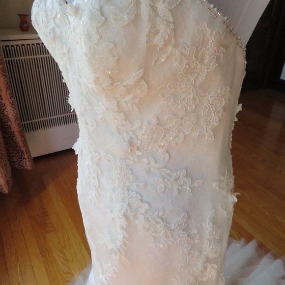 La Sposa by Pronovias Wedding Dress Rochelle - Picture 8 of 13